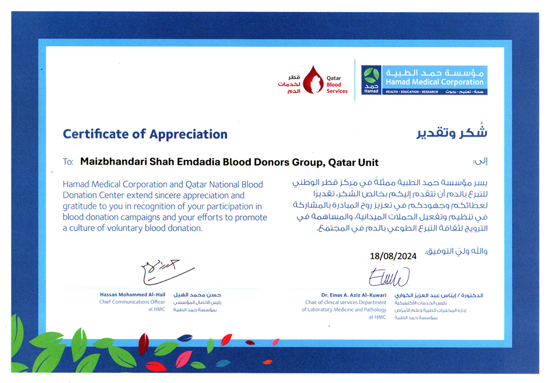 Qatar 2024 Appreciation